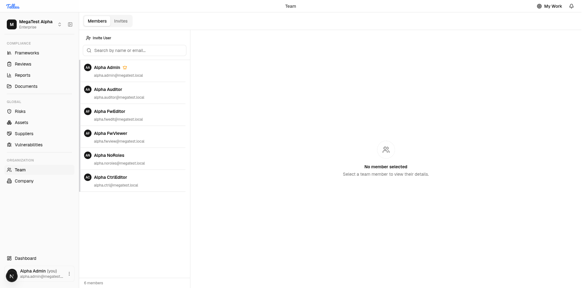 The Team page Members tab with the member list and an empty detail pane
