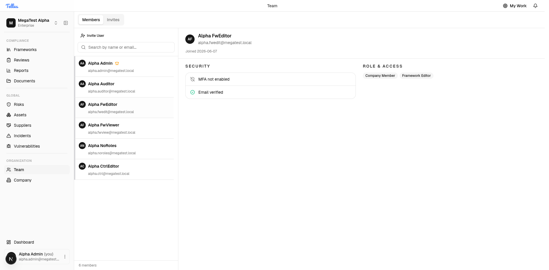 Team Members tab with a member selected, showing the read-only detail pane
